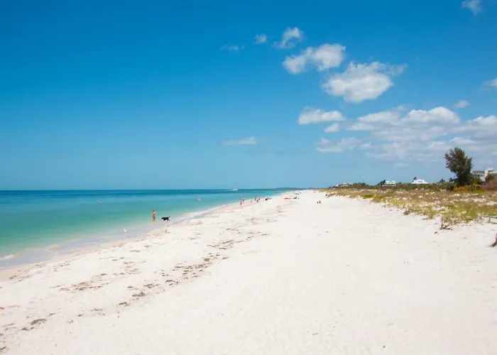 Harborview Grande 800 Luxury 8th Floor With Stunning Harbor Views 23067 Clearwater Beach